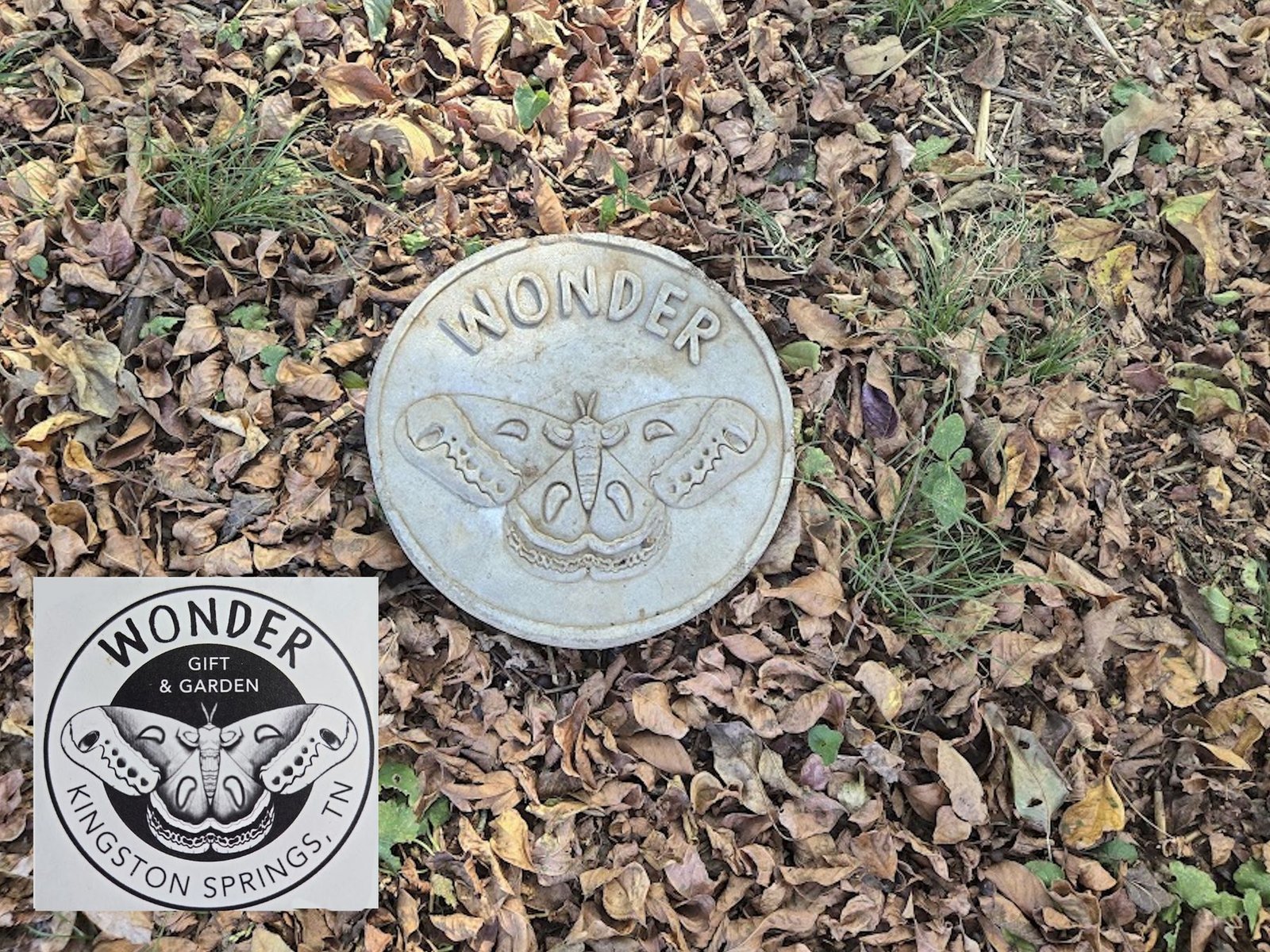 Reliefs & Stepping Stones by Gnome and Garden